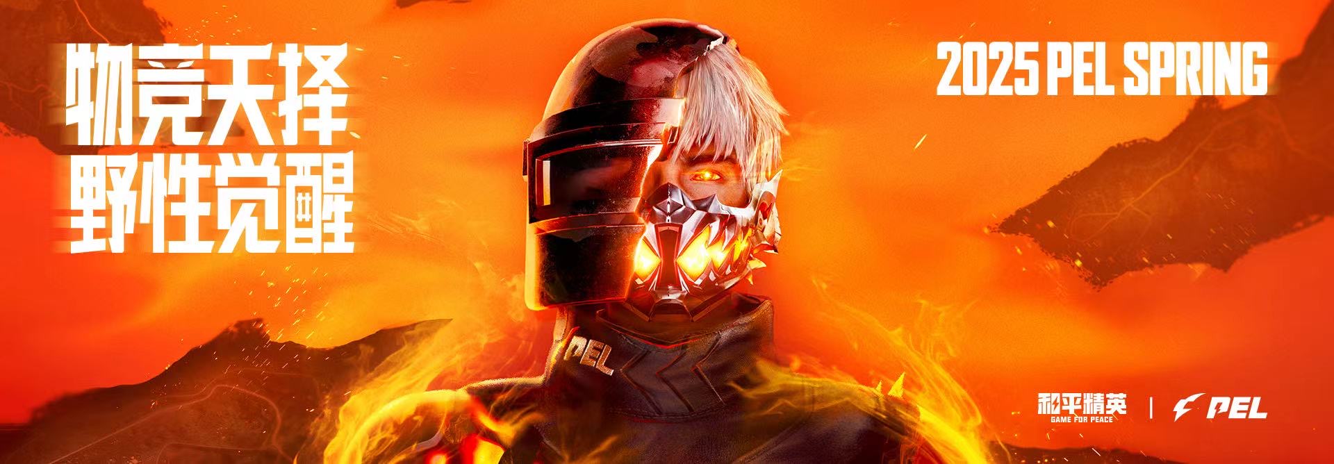 和平精英辅助【XL主播定制】独家绘制透视 完美过检 雷达预警  生态触摸锁 函数自瞄 可观透